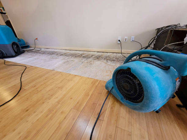 Professional Sewage Cleanup technician working in Midway City, CA
